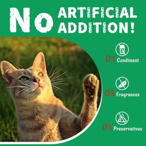 13.4 OZ Crunchy Cat Treats Catnip Treats for Cats with Digestive Support