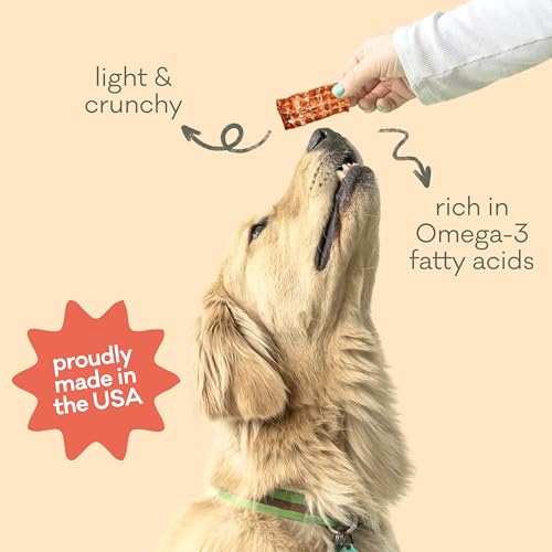 Crunchy Alaskan Salmon Chips
