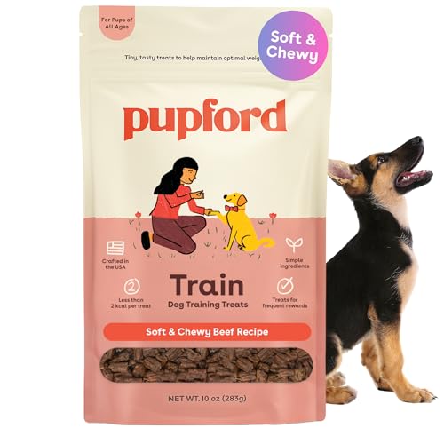 Soft & Chewy Training Treats for Dogs & Puppies (10 Ounce (Pack of 1))