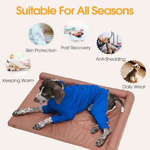 Recovery Suit for Large Dogs (Blue / L)