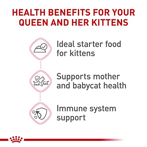 Feline Health Nutrition Mother & Babycat Queen Ultra Soft Mousse in Sauce Cat Food (3 Ounce (Pack of 6))