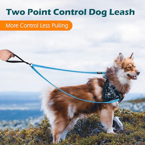 Two Point Control Dog Leash (Light Blue)