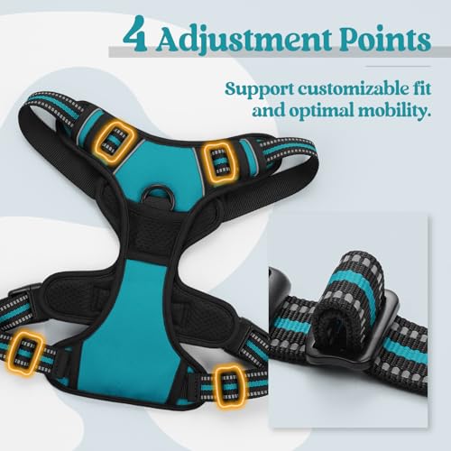 Dog Harness No Pull Medium Sized with 2 Leash Clips (Medium / Teal)