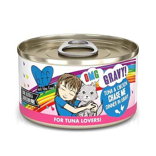 B.F.F. OMG Best Feline Friend Oh My Gravy! (2.8 Ounce (Pack of 12))