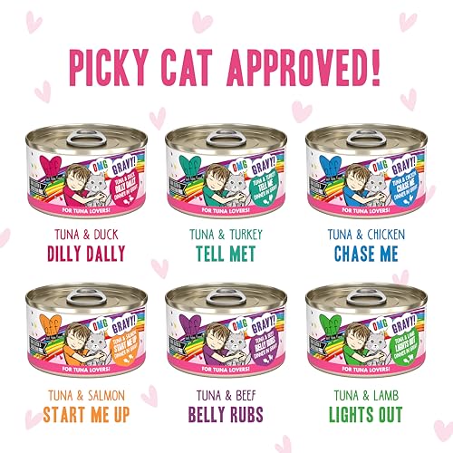 B.F.F. OMG Best Feline Friend Oh My Gravy! (2.8 Ounce (Pack of 12))