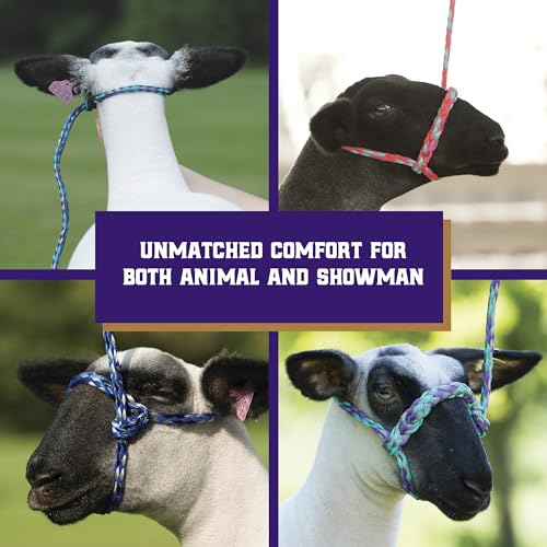 Poly Rope Sheep Halter (Blue/Black/Gray)