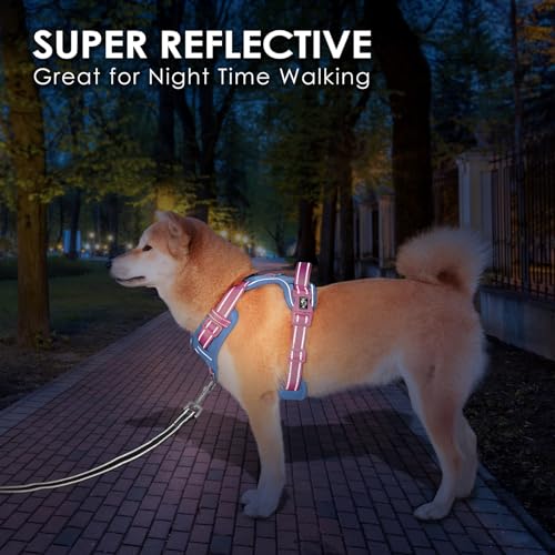 No Pull Dog Harness (Baby Blue Base & Pink Straps / Small)