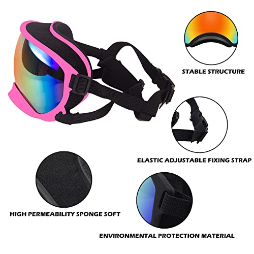 Large Dog Sunglasses