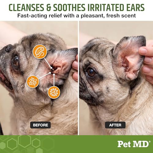 Dog Ear Cleaning Wipes (100 regular wipes)
