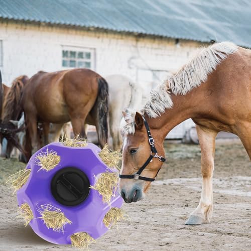 15.75" Extra Large Slow Feed Hay Ball for Horses (Purple)