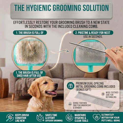 Slicker Brush for Dog (Large / Green)