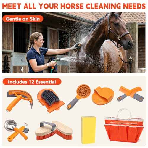 Horse Grooming Kit (Orange)