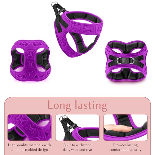 Comfort fit Step (XS (Chest 13"-14.5") / Purple)