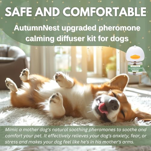 Dog Pheromone Calming Diffuser Kit (6 packs - Duck Diffuser)