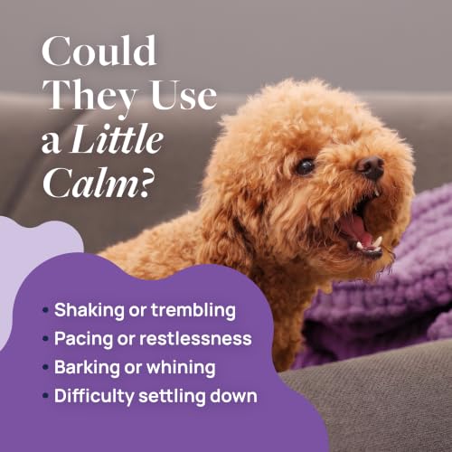 Smart Vitality Pet Calm Soft Chews for Dogs (60 ct / Pet Calm)
