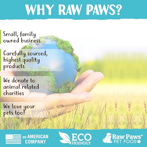 Frozen Raw Turkey Recipe Dog & Cat Food (1 Pound (Pack of 10))