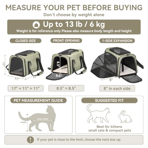 Medium Expandable Cat Carrier for Air Travel (17.0"L x 11.0"W x 11.0"H / Green)