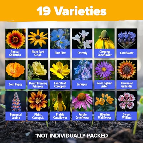Midwest Wildflower Mix 32