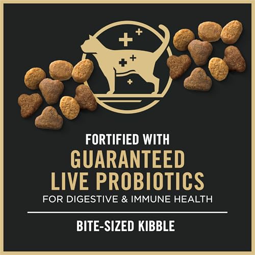 High Protein Cat Food with Probiotics