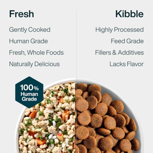 Pantry Fresh Wet Dog Food (12.5 Ounce (Pack of 6))