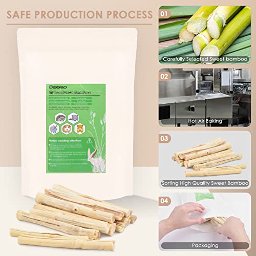 145g 0.3Ib Sweet Bamboo Chew Sticks for Rabbits (4.8 Ounce (Pack of 1))