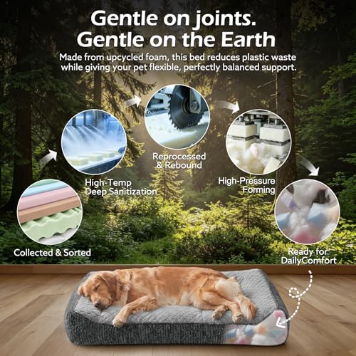XL Orthopedic Dog Bed for Large Dogs (XL(42"L x 30"W x 8.5"Th) / Light Grey)