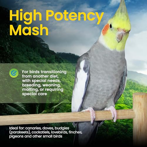 High Potency Mash (1 Pound (Pack of 1))
