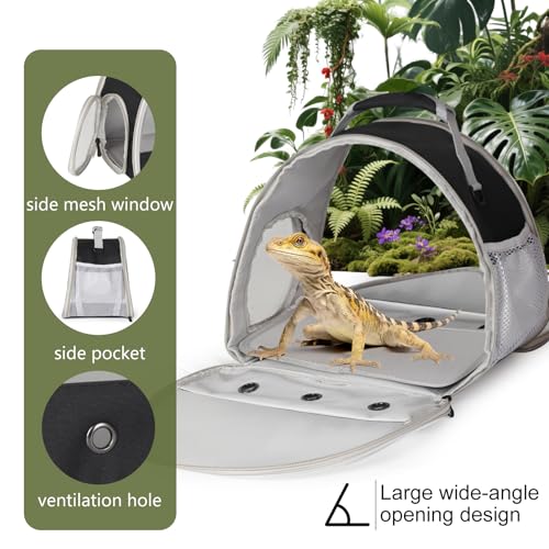 Ventilation Carrier for Bearded Dragon (Black)