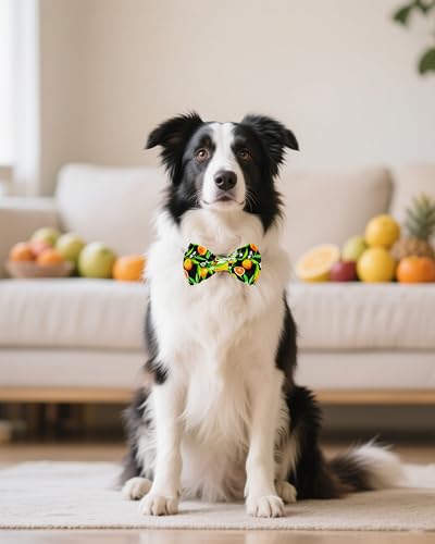 10 Pack Fruit Dog Bowties for Large Dogs Sliding on Collar (M/L)