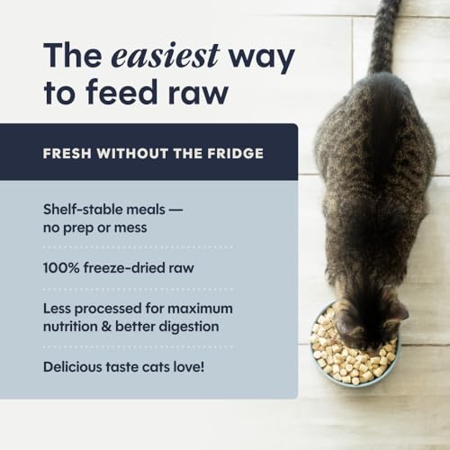 Freeze Dried Raw Meals (25 Ounce (Pack of 1))