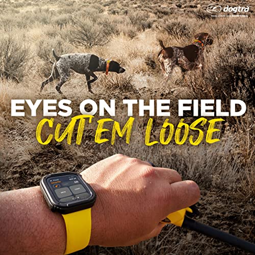 Pathfinder 2 Hunting Ecollar GPS Dog Training Collar with Remote (Path 2 - 1 Dog)