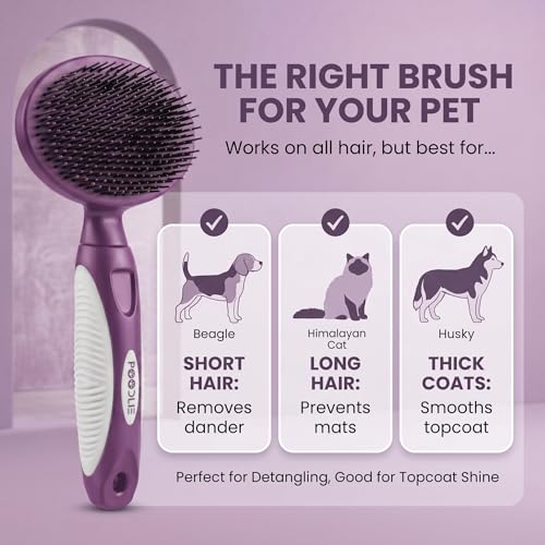 Round Bristle Pet Brush for Dogs and Cats (Purple)