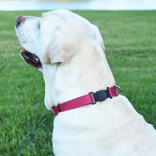 Biothane Waterproof Dog Collar with Herm Sprenger Black Stainless Steel Quick Release Buckle (W 1" x L 15"-25" / Magenta Pink)