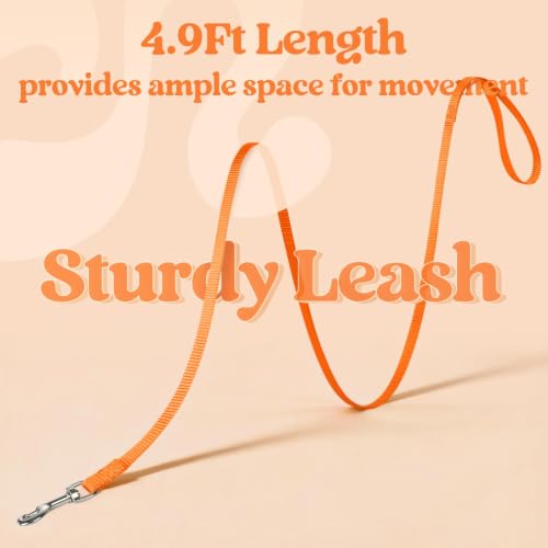Cat Harness and Leash Set (M / Orange)