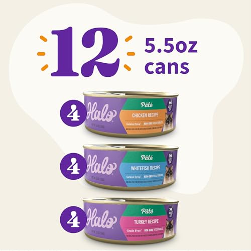 Pate Wet Cat Food