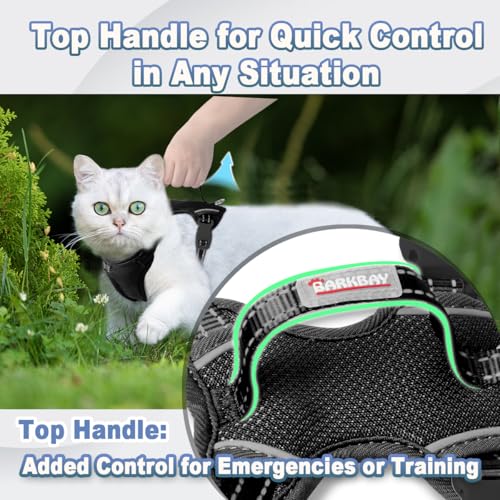 Cat Harness and Leash Set Escape Proof for Kitten Walking (XX-Small / Black)