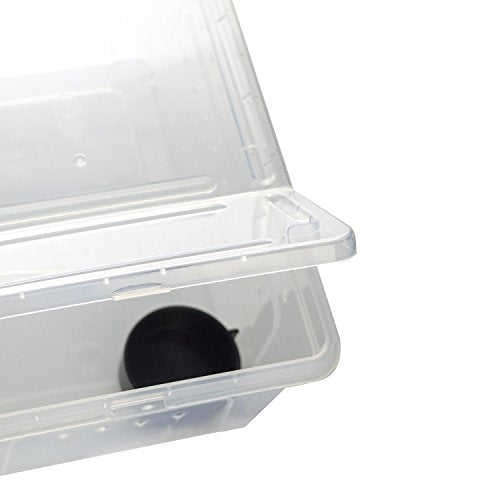 Portable Reptile Terrarium Habitat for Mini Pet Houses Breathable Holes Stackable Container (1PCS-Clear-M)