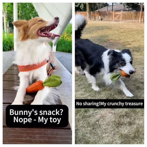 Dog Chew Toys for Aggressive Chewers (carrot orange)