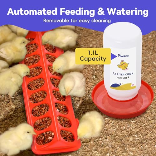 Chick Brooder Box for Chick Starter Kit (Z-Green + Red + Wood Color)
