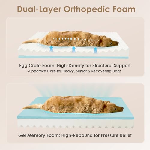 Orthopedic XL Dog Bed for Large Dog (Navy / 42x30x7.5)
