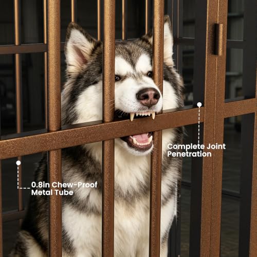 54 Inch Heavy Duty Dog Crate (Black / X-Large)