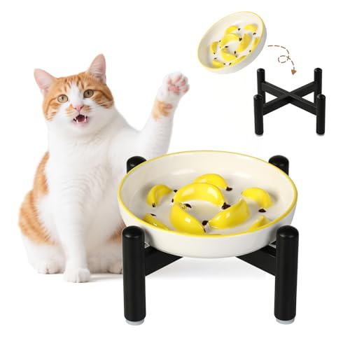 Ceramic Slow Feeder Cat Bowl (Yellow Raised (Metal) / 3.9"H Raised (Metal))
