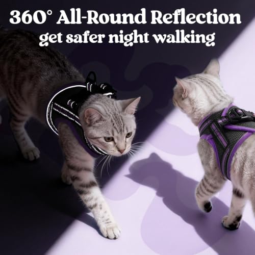Cat Harness and Leash Set (XL / Black & Purple)