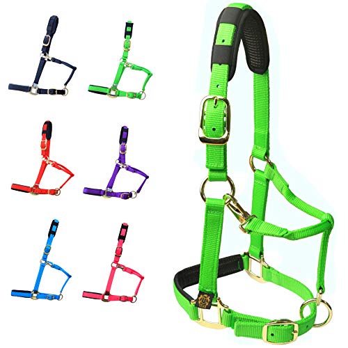 Adjustable Horse Halters by Heavy Duty Soft Nylon (Green / Pony (S))