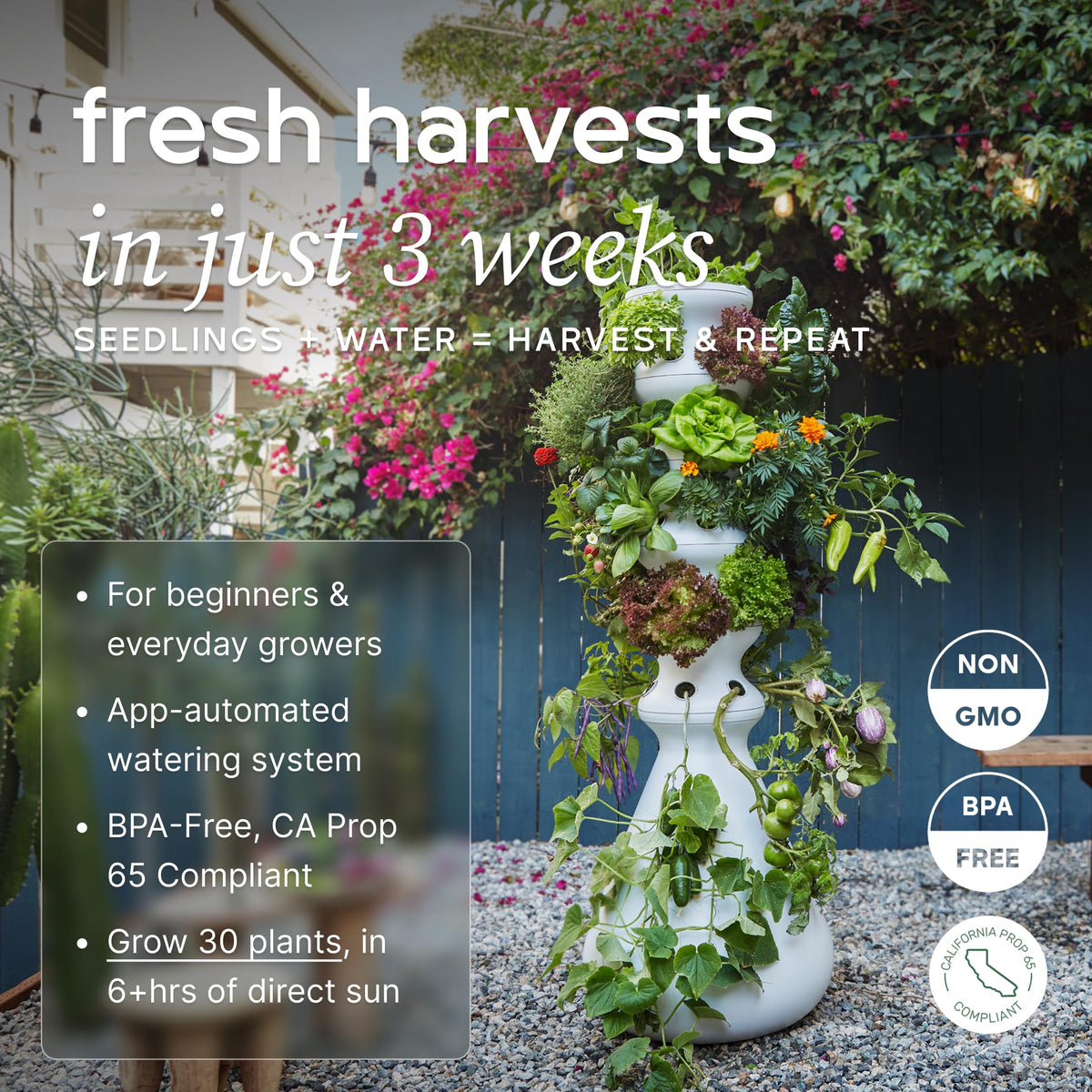 Farmstand Outdoor Starter Kit (30 Seedlings / Outdoor With Seedlings)