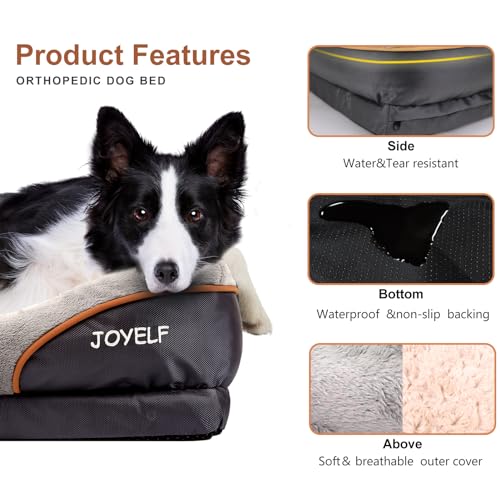 XXLarge Memory Foam Dog Bed (XXLarge-47'' x 33'')