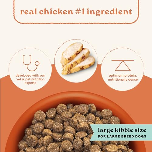 All Life Stages Large Breed (40 Pound (Pack of 1))