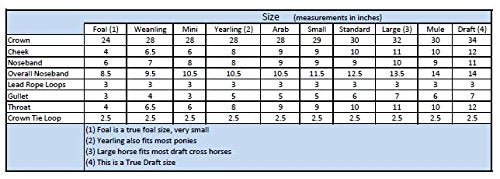 Horse Rope Training Halter (Blue / Large)