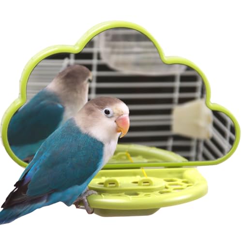 Bird Mirror Toy with Perch & Slow Feeder (Green)