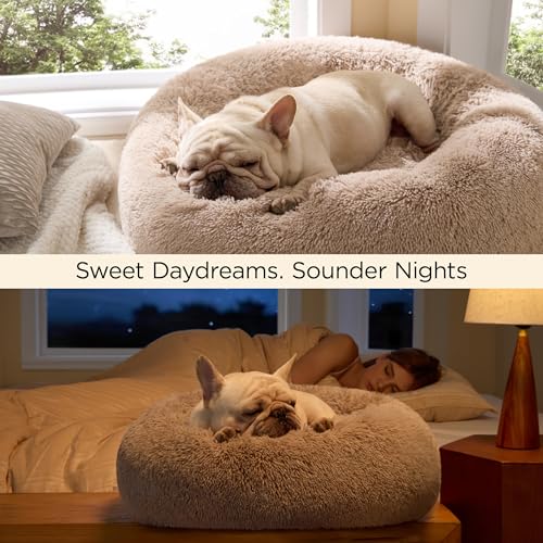 Calming Cat Beds Donut Round Washable Kitten Bed (20"L x 20"W x 6"Th / Camel)